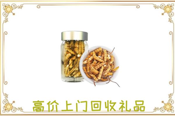 西安周边回收虫草